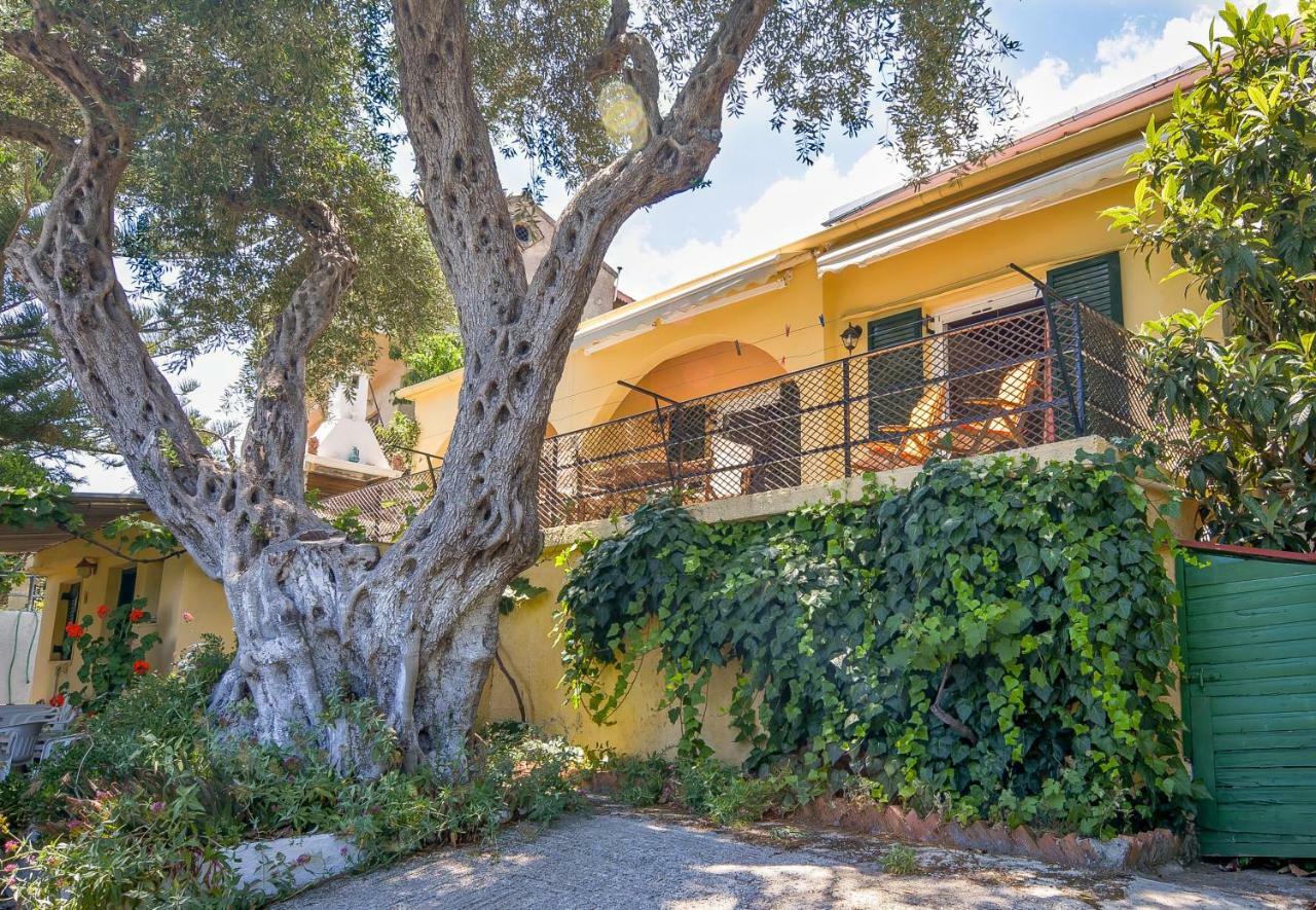 Alex-Giannis Apartments, Μπαρμπάτι Εξωτερικό φωτογραφία