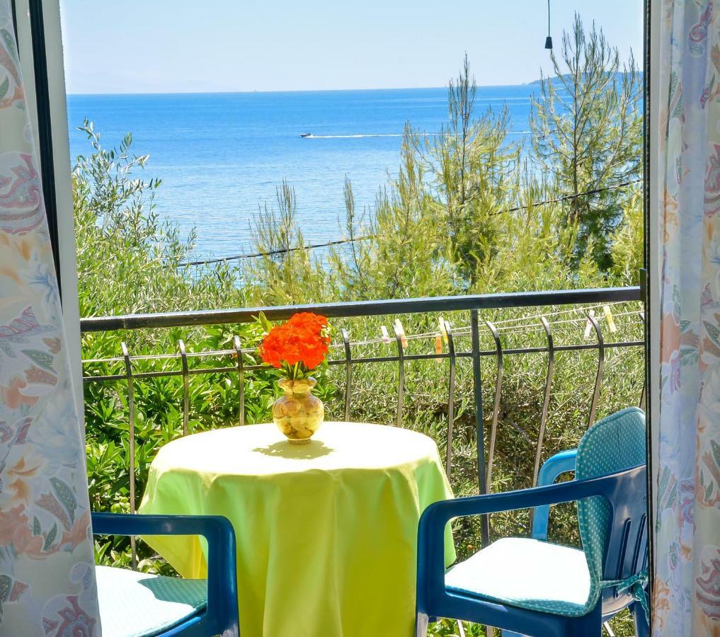 Alex-Giannis Apartments, Μπαρμπάτι Εξωτερικό φωτογραφία